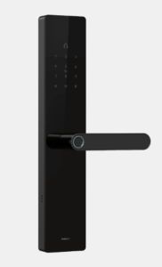 T12